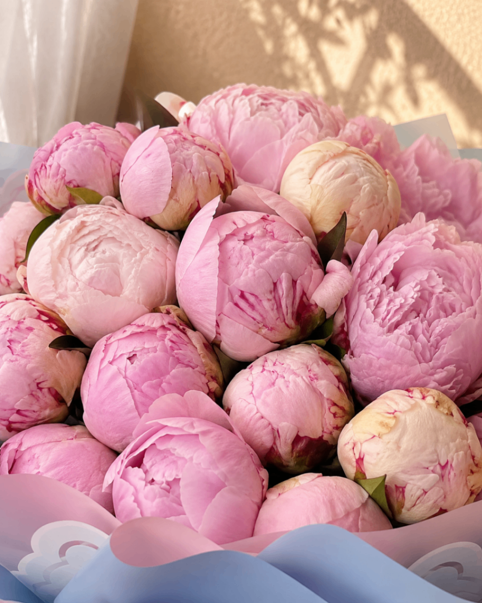 Bonjour Bébé – Buchet cu bujori roz - imagine 2