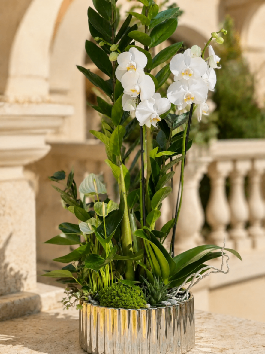 Canopée Dorée – Compoziție Luxury cu plante - imagine 2