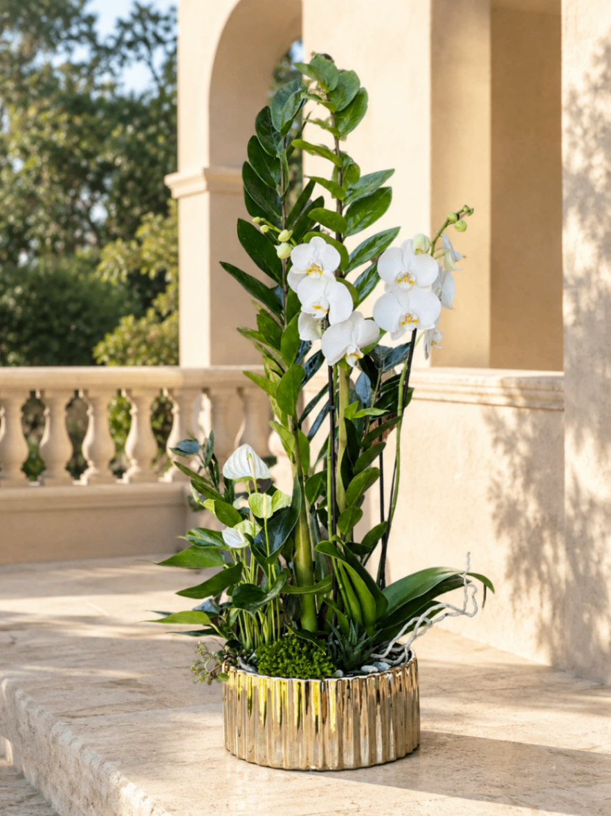 Canopée Dorée – Compoziție Luxury cu plante