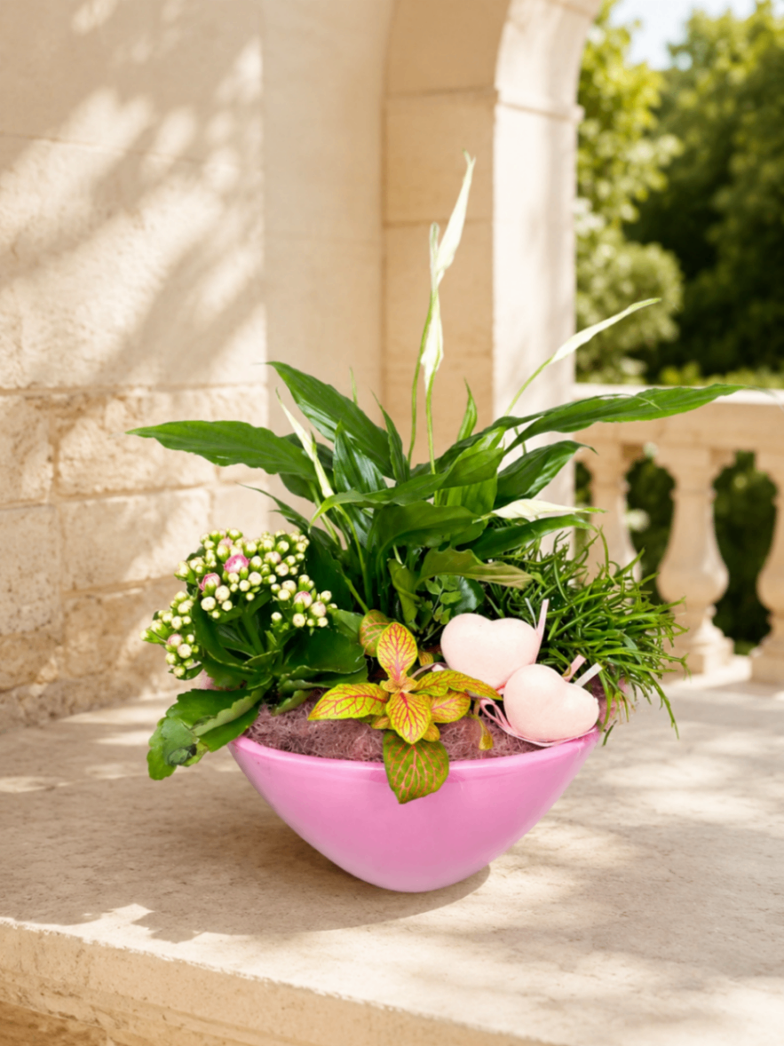 Jardin Cœur Rose – Compoziție cu plante