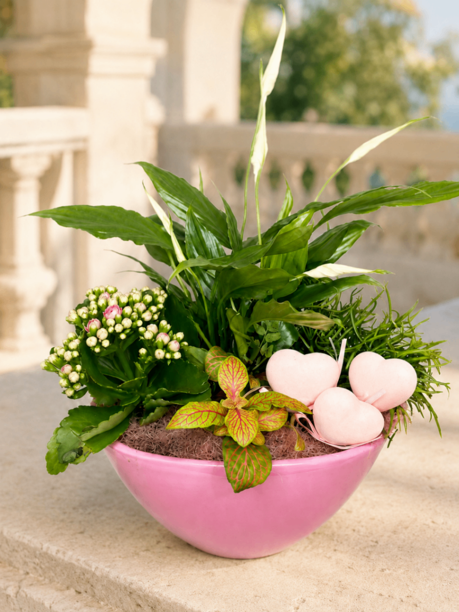 Jardin Cœur Rose – Compoziție cu plante - imagine 2